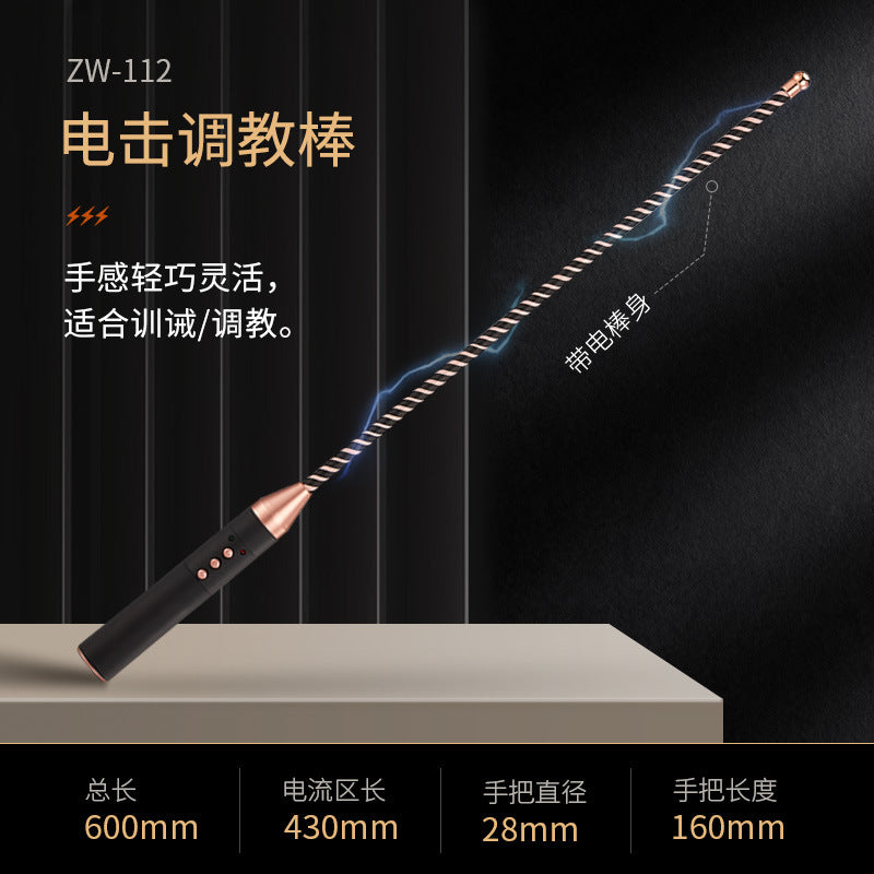 電擊棒sm道具sp用品充電情趣roomfun房趣皮鞭子散鞭長柄響拍調教