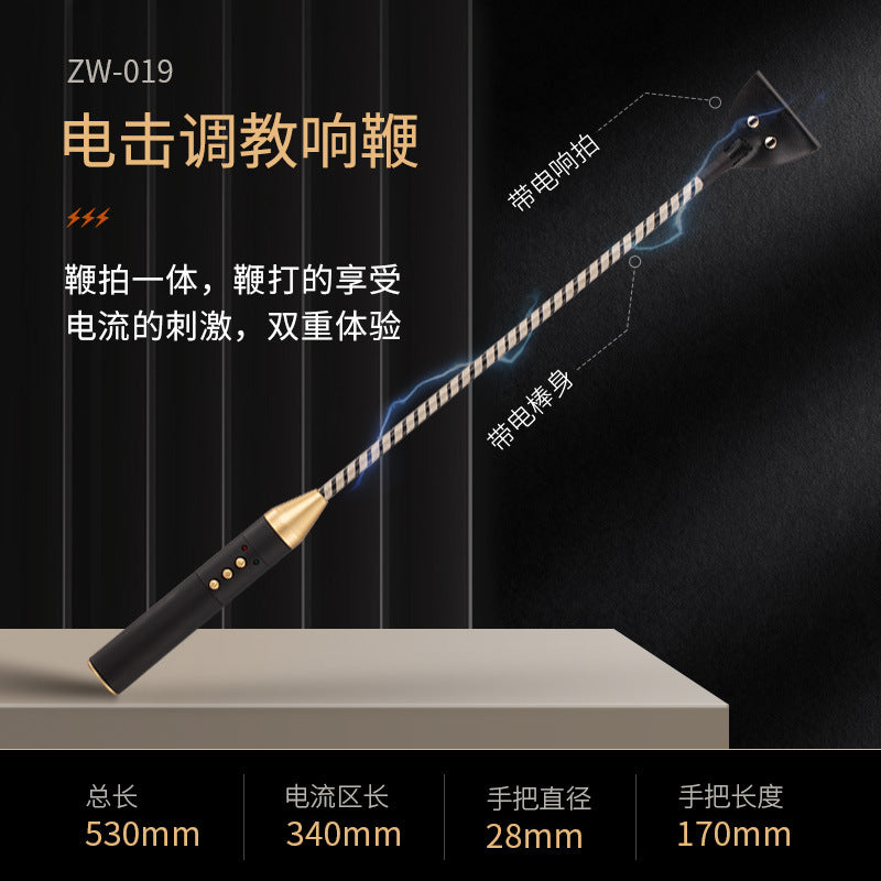 電擊棒sm道具sp用品充電情趣roomfun房趣皮鞭子散鞭長柄響拍調教